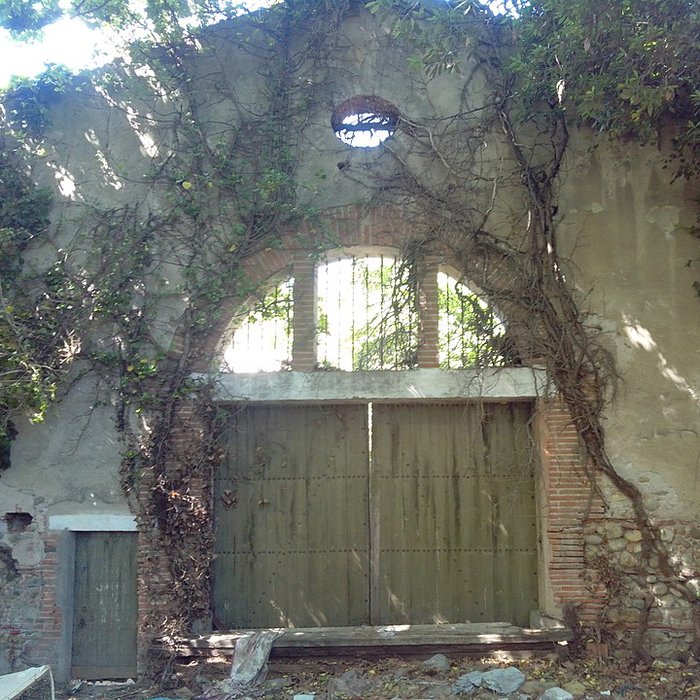 Photo de Site archéologique de Saint-Etienne d’Orle