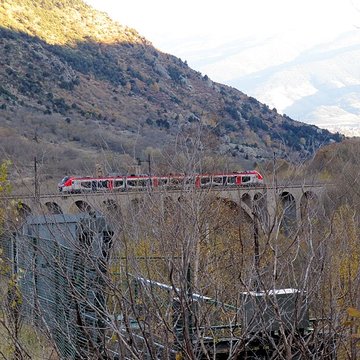 Viaduc sur le Carol