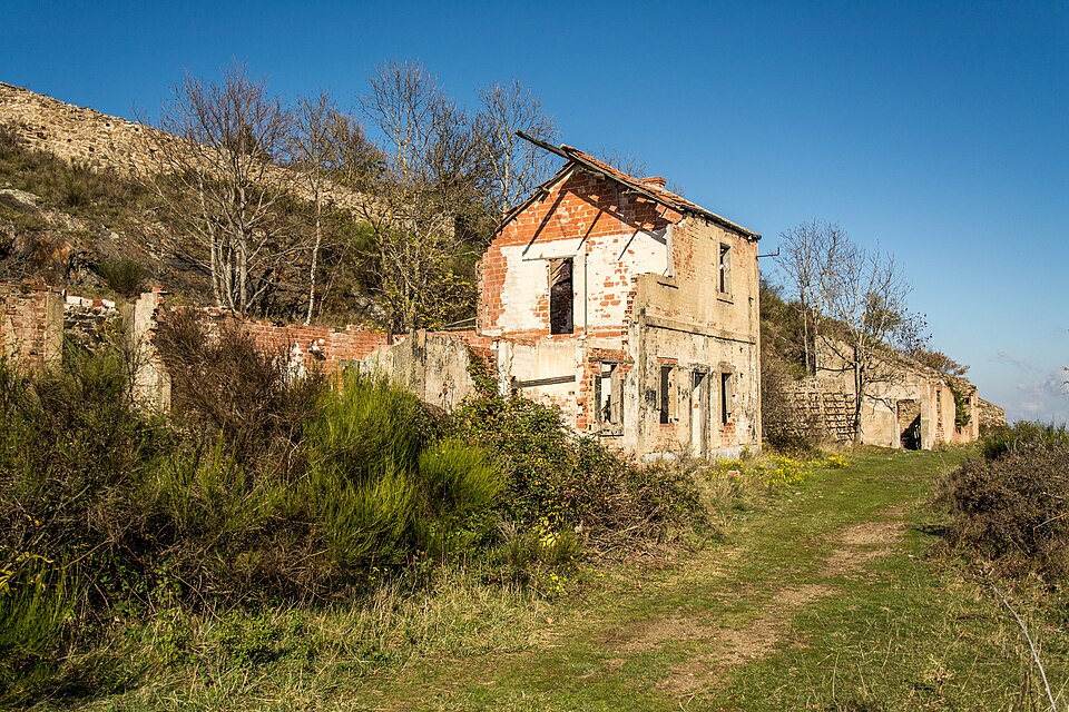 Photo de Minestra di pino