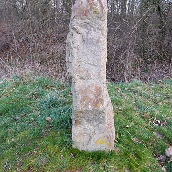 Photo de Structure funéraire