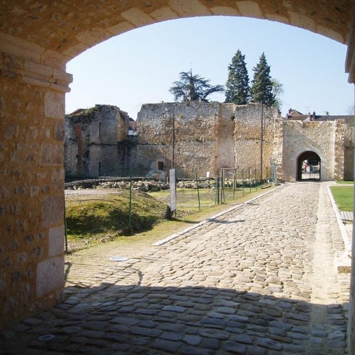 Photo de Château de Brie-Comte-Robert