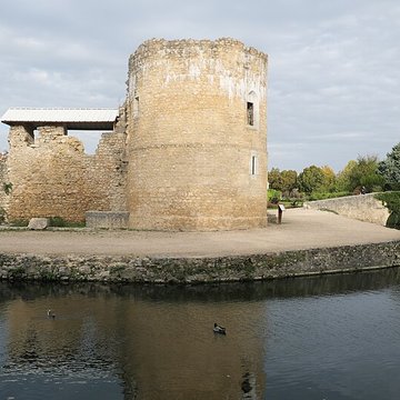 Château de Brie-Comte-Robert