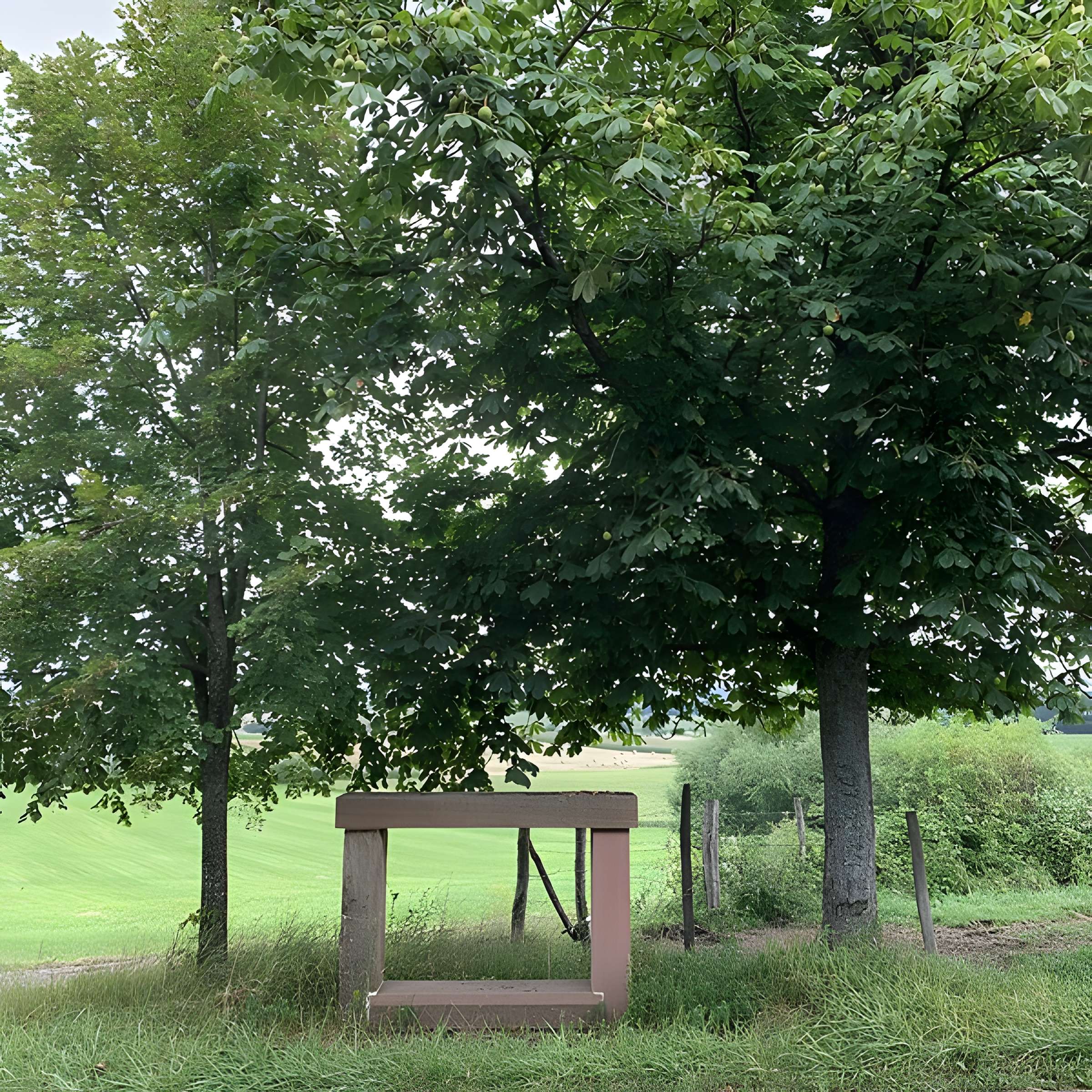 Banc-reposoir napoléonien