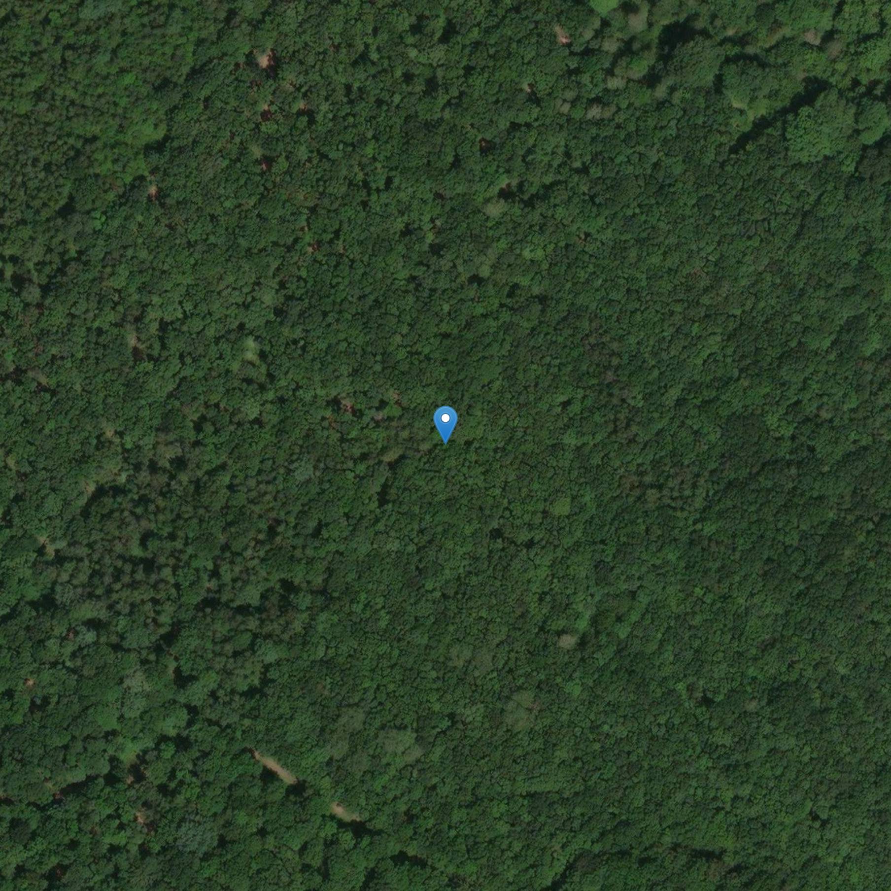 Photo de Protohistoric と Gallo-Roman ネクロポリス