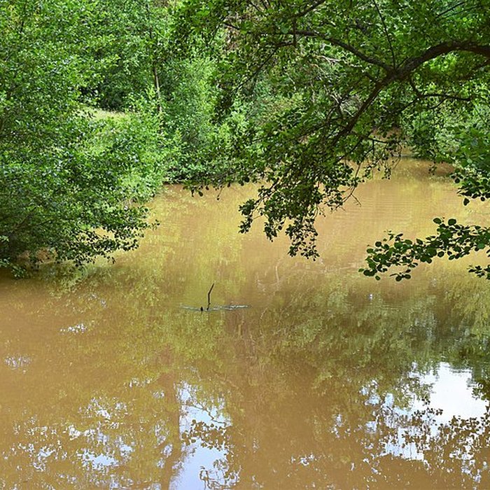 Photo de Domaine du château de Kolbsheim