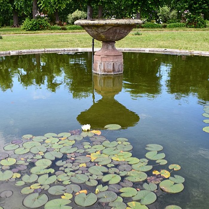 Photo de Domaine du château de Kolbsheim