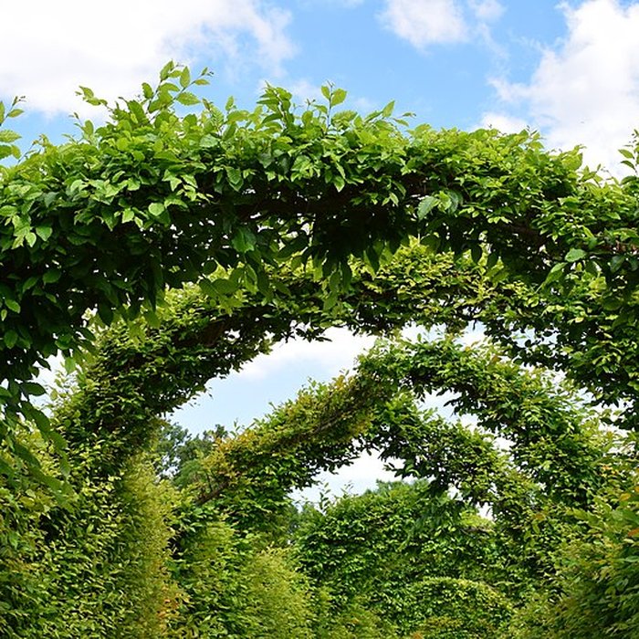 Photo de Domaine du château de Kolbsheim