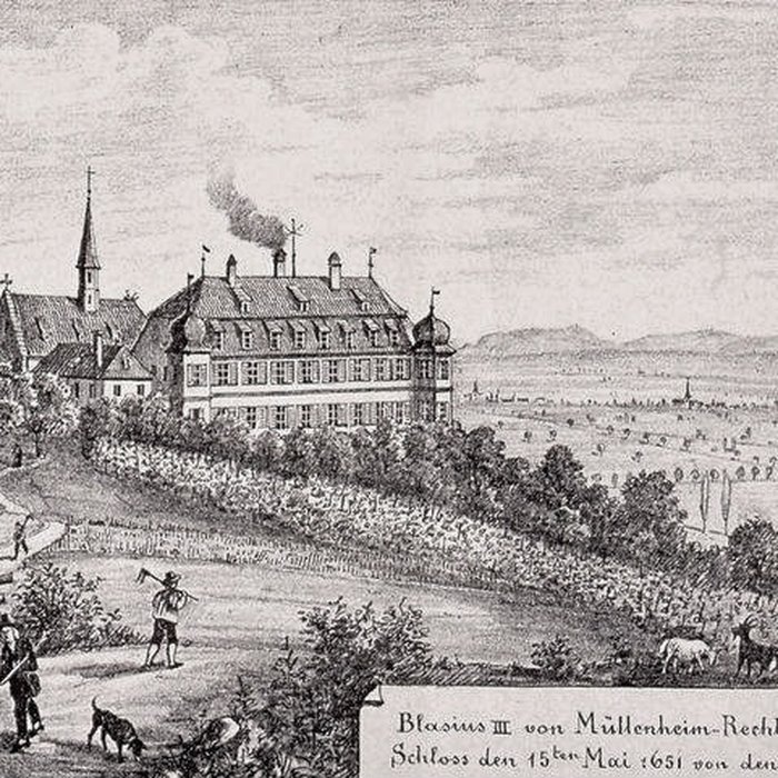 Photo de Domaine du château de Kolbsheim