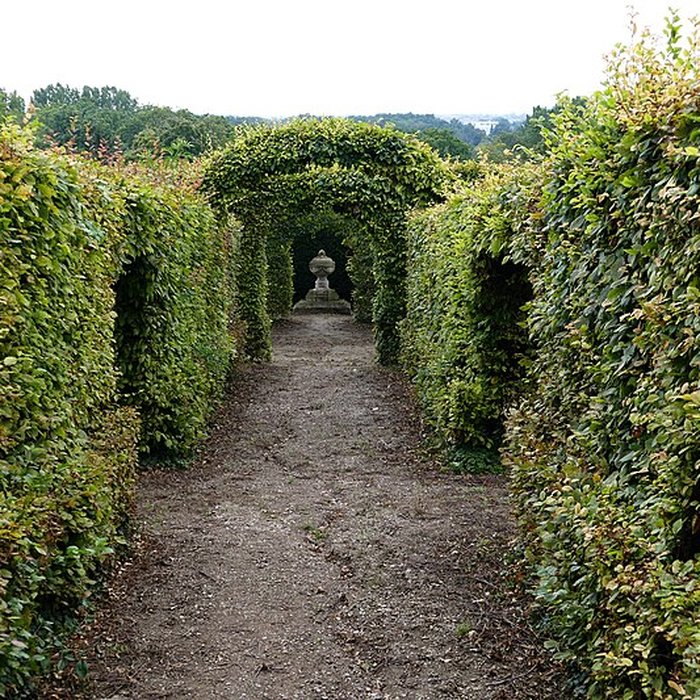 Photo de Domaine du château de Kolbsheim