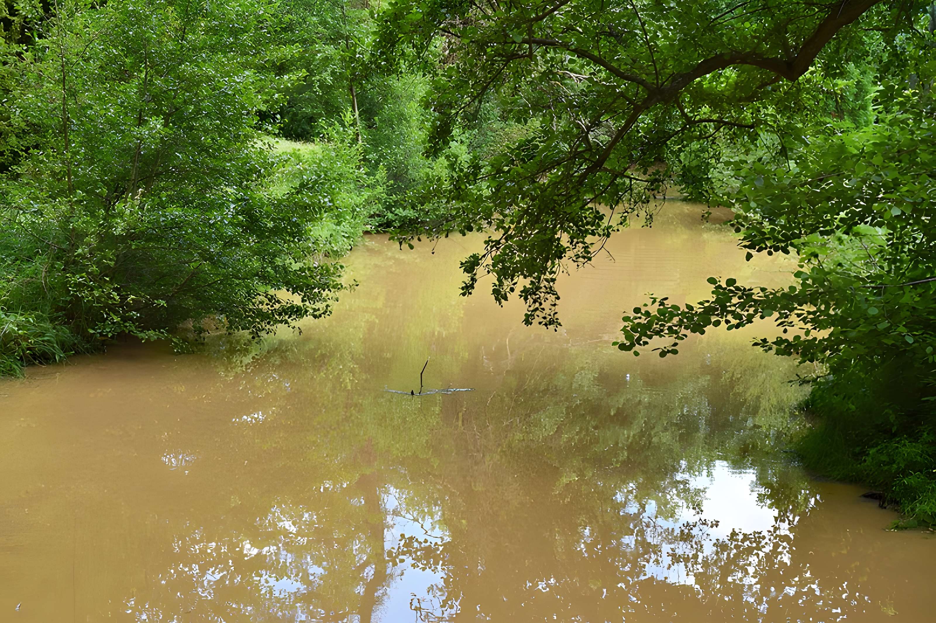 Domaine du château de Kolbsheim