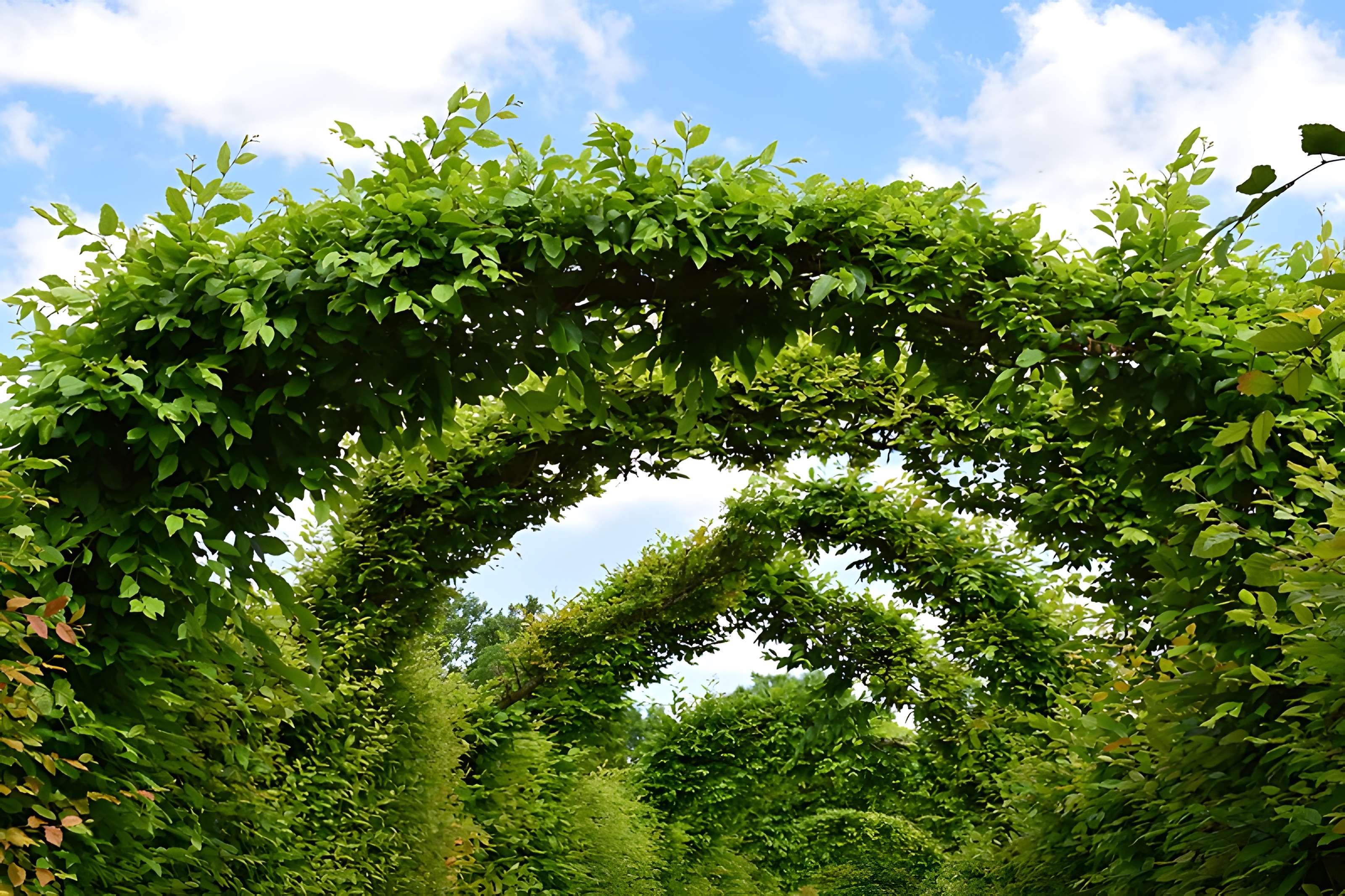 Domaine du château de Kolbsheim