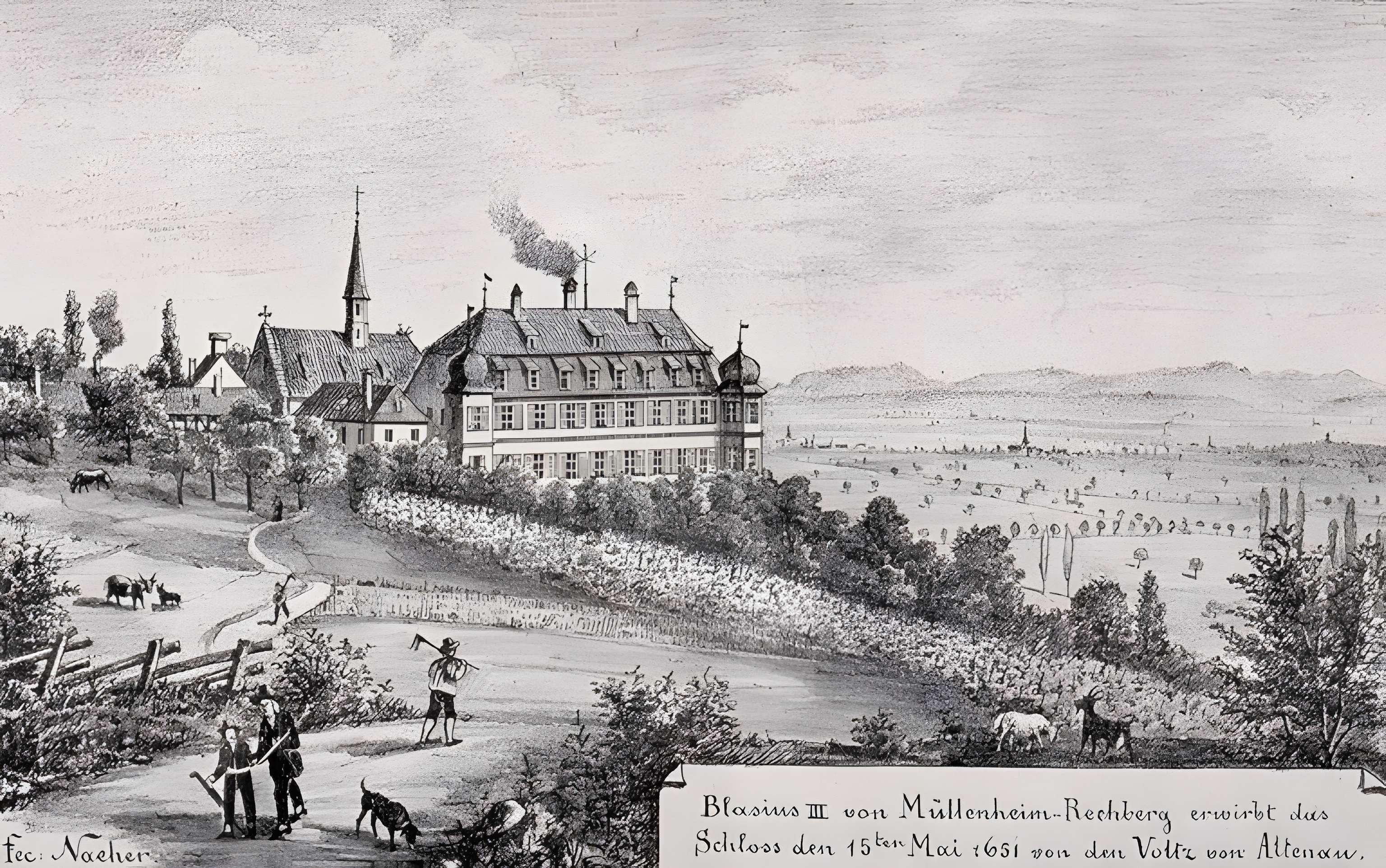 Domaine du château de Kolbsheim