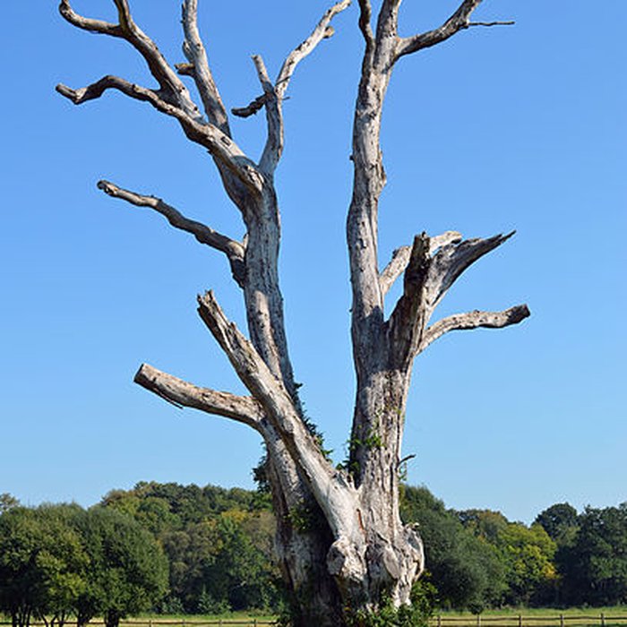Photo de Forges de la Jahotière