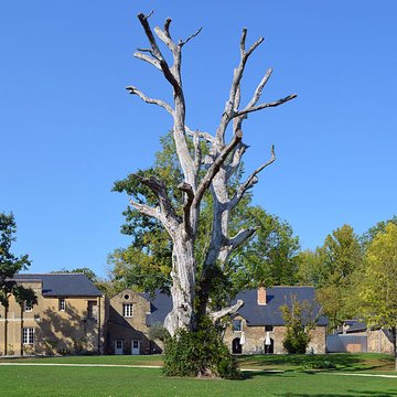 Forges de la Jahotière