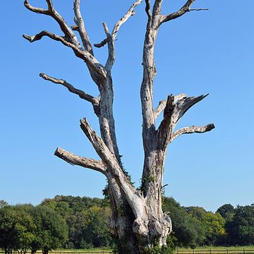 Forges de la Jahotière