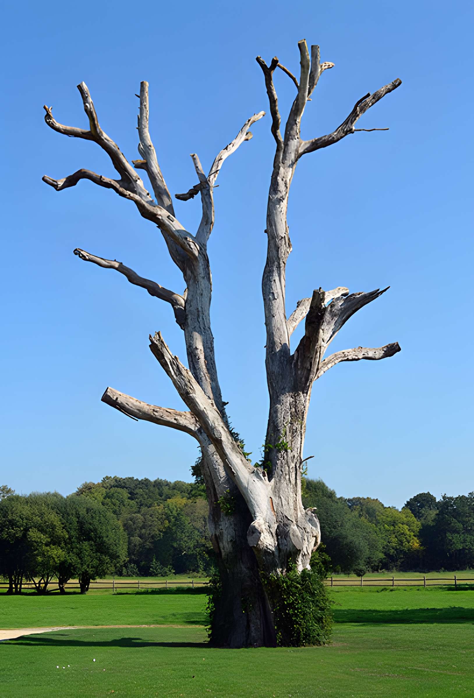 Forges de la Jahotière