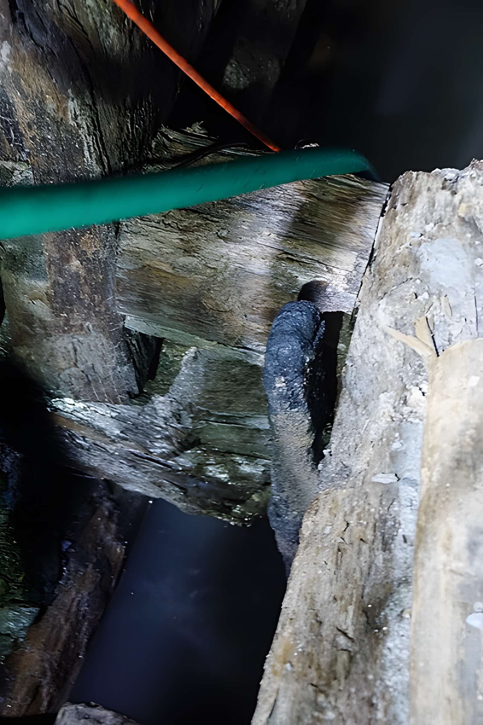 Puits de la mine Haus Österreich