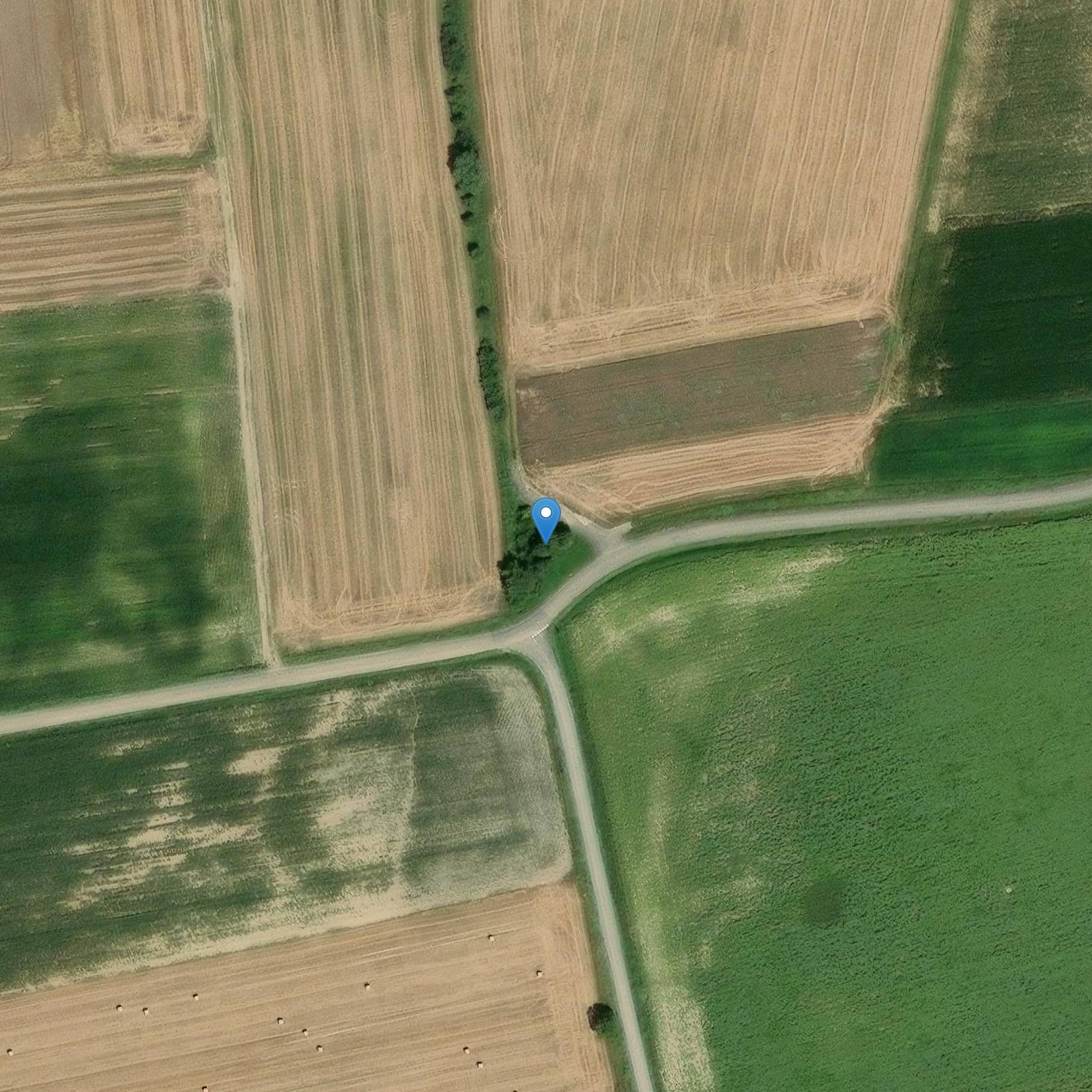 Photo de Panca napoleonica