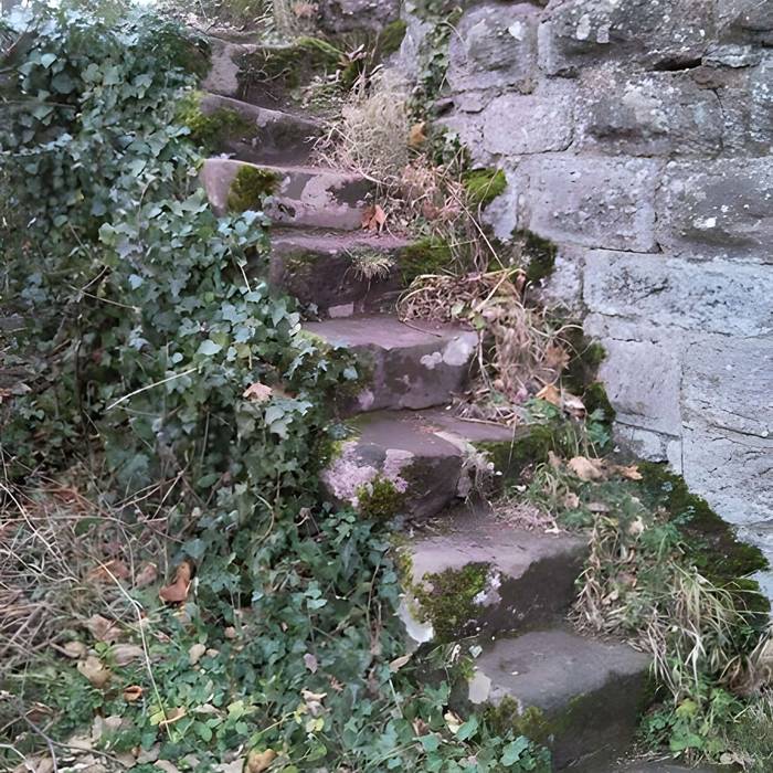 Photo de Ruines du château Guirbaden