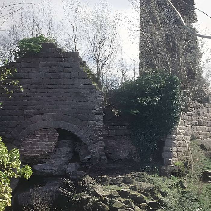 Photo de Ruines du château Guirbaden