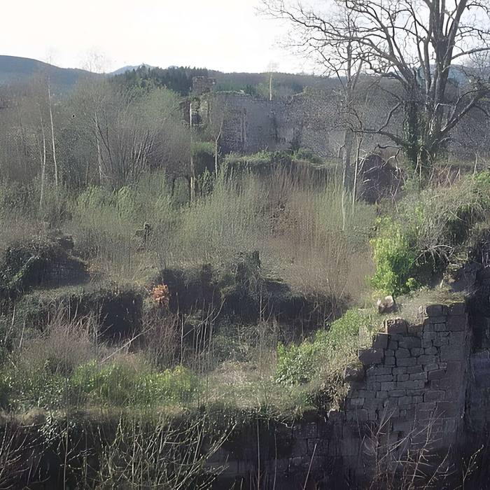 Photo de Ruines du château Guirbaden
