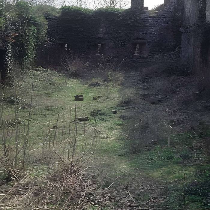 Photo de Ruines du château Guirbaden
