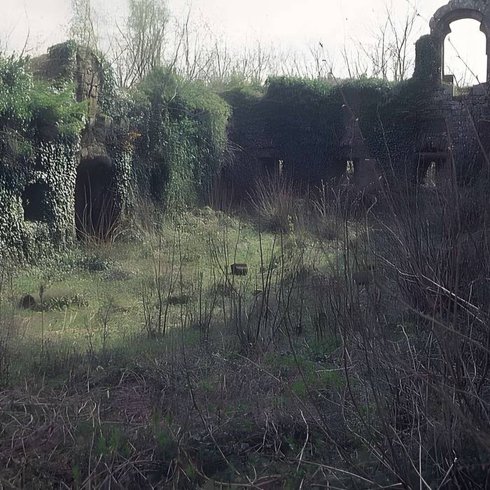 Photo de Ruines du château Guirbaden