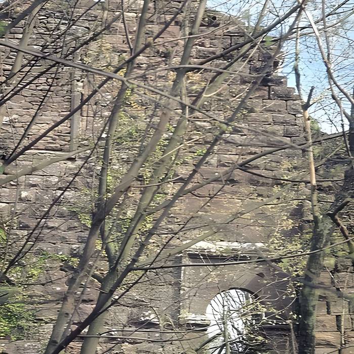 Photo de Ruines du château Guirbaden
