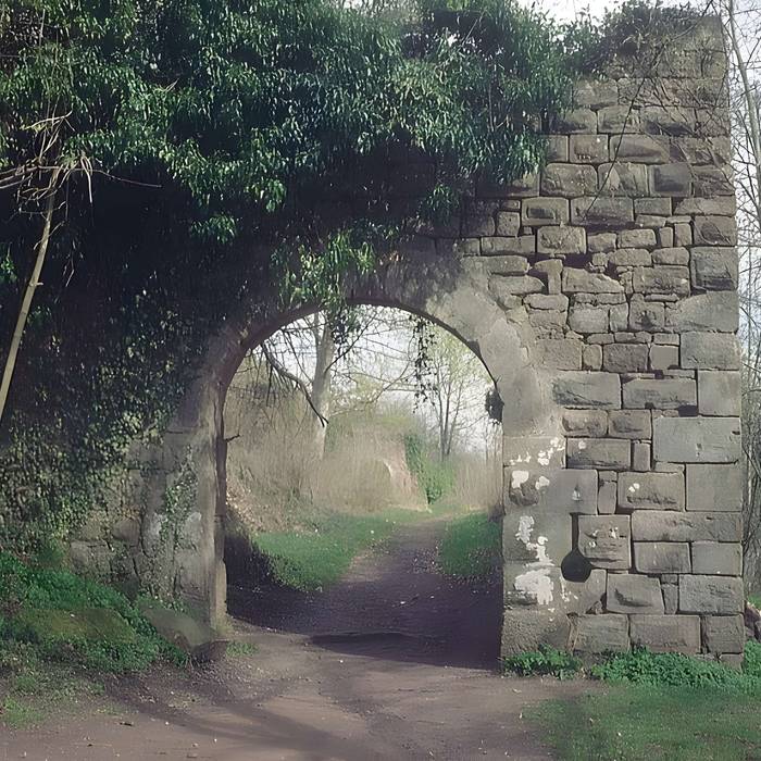 Photo de Ruines du château Guirbaden