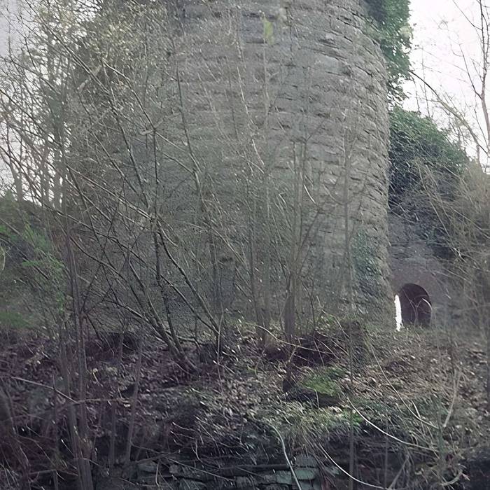 Photo de Ruines du château Guirbaden