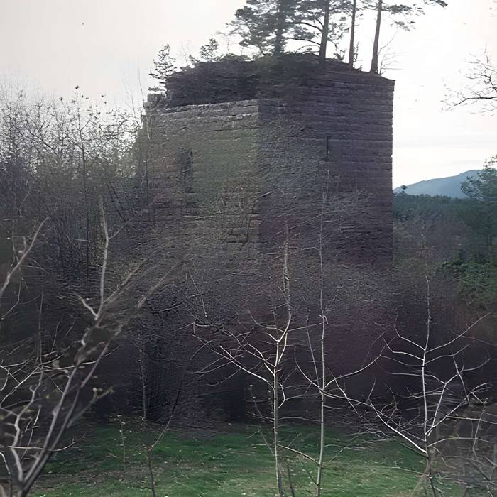 Photo de Ruines du château Guirbaden