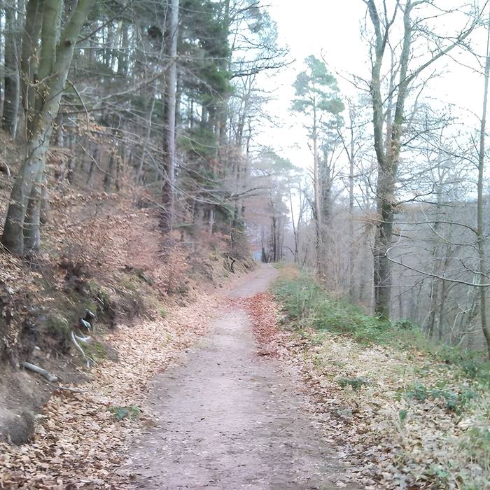 Photo de Ruines du château Guirbaden