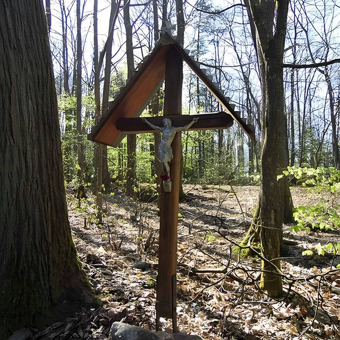 Photo de Ruines du château Guirbaden