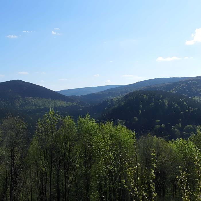 Photo de Ruines du château Guirbaden