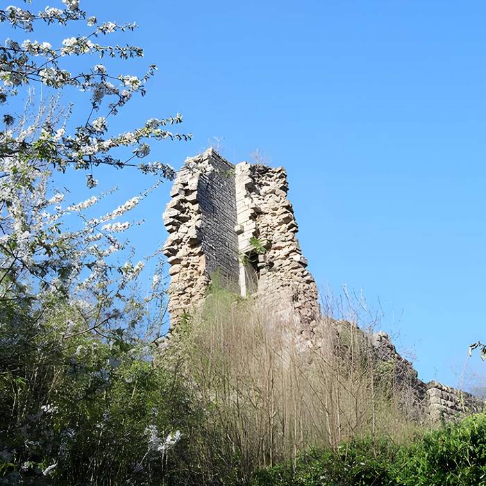 Photo de Ruines du château Guirbaden