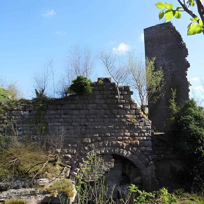 Photo de Ruines du château Guirbaden