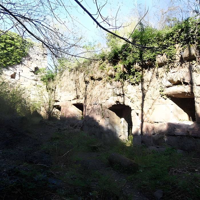 Photo de Ruines du château Guirbaden