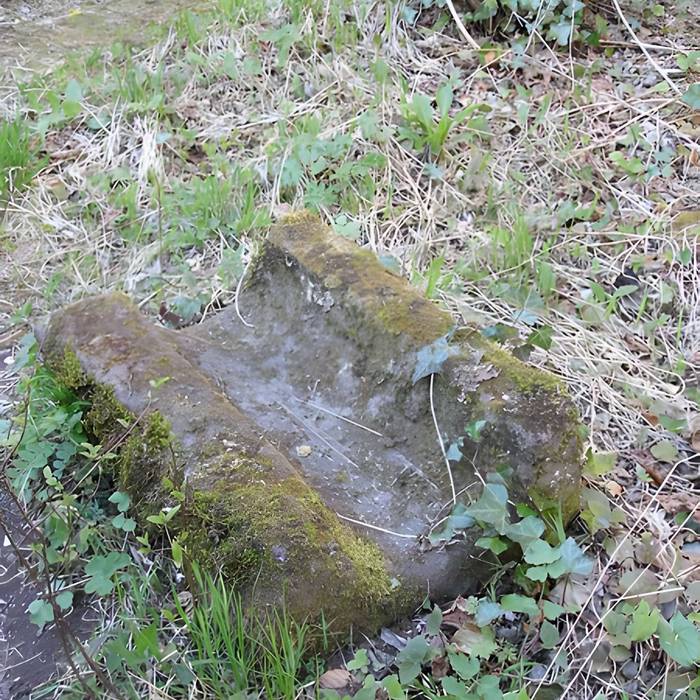 Photo de Ruines du château Guirbaden
