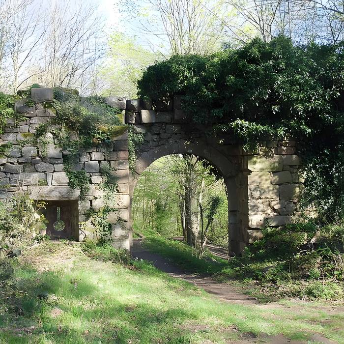 Photo de Ruines du château Guirbaden