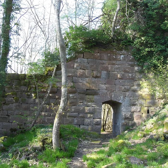 Photo de Ruines du château Guirbaden