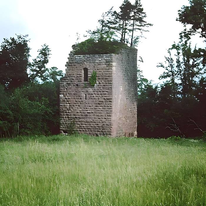 Photo de Ruines du château Guirbaden