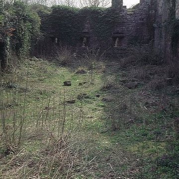 Ruines du château Guirbaden