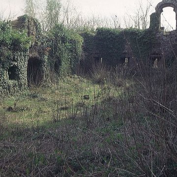 Ruines du château Guirbaden