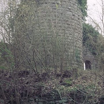 Ruines du château Guirbaden