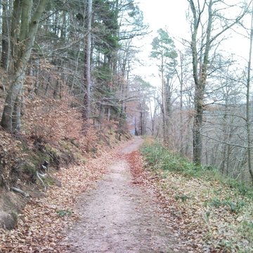 Ruines du château Guirbaden