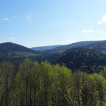 Ruines du château Guirbaden