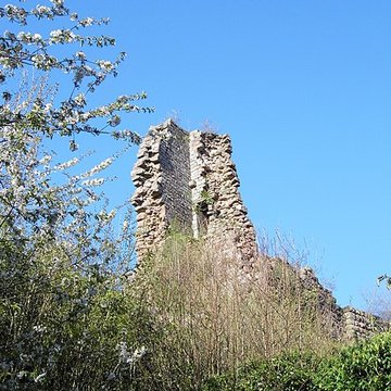 Ruines du château Guirbaden
