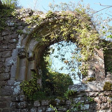 Ruines du château Guirbaden