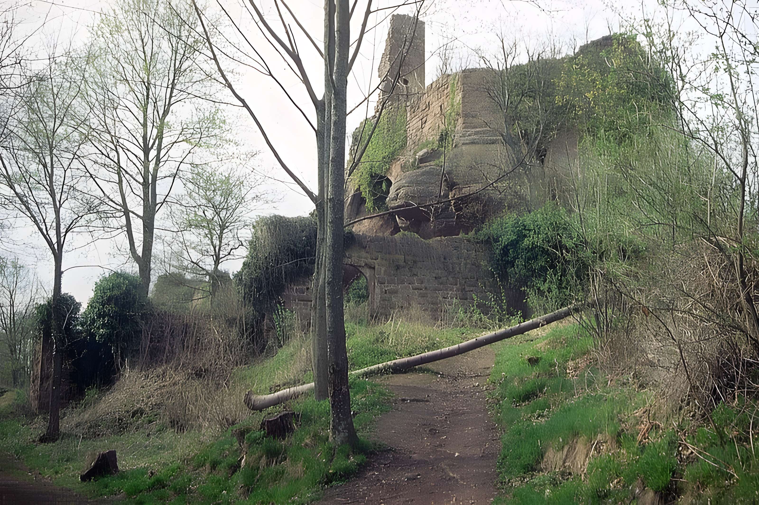 Ruines du château Guirbaden