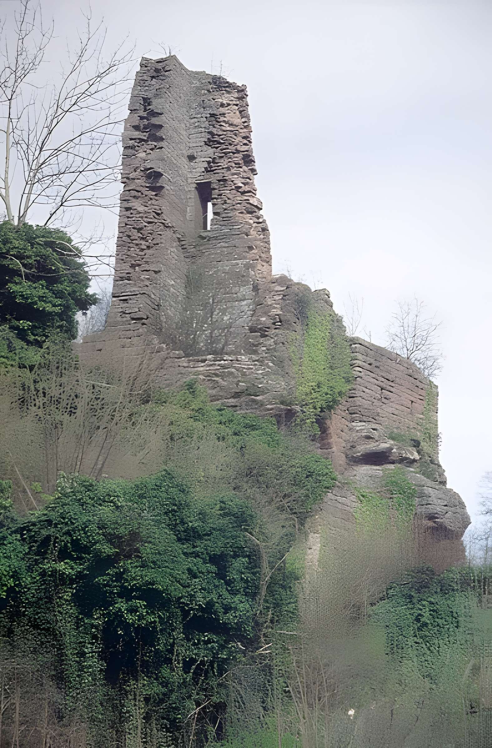Ruines du château Guirbaden